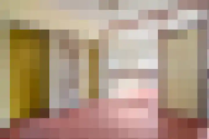 Aalscholversingel 222 Velp thumbnail 7