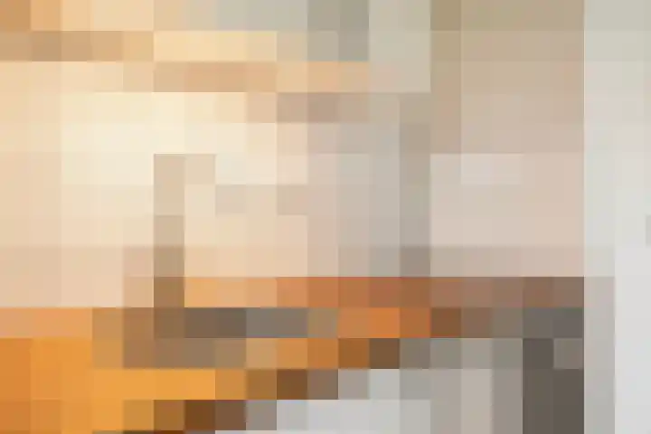 Aalscholversingel 244 Velp thumbnail 15