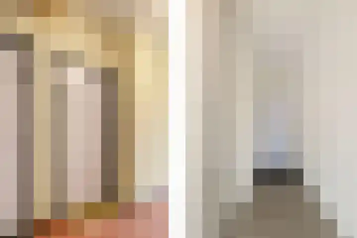 Aalscholversingel 244 Velp thumbnail 19