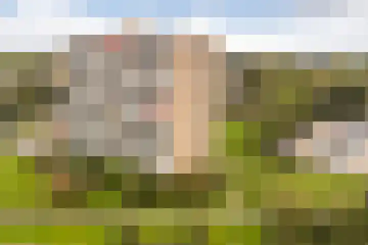 Aalscholversingel 244 Velp thumbnail 23