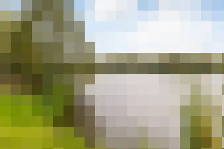 Aalscholversingel 244 Velp thumbnail 24
