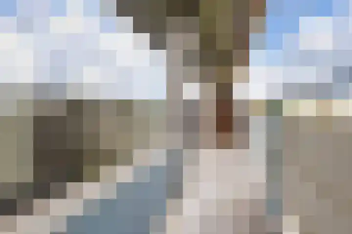 Aalscholversingel 244 Velp thumbnail 5