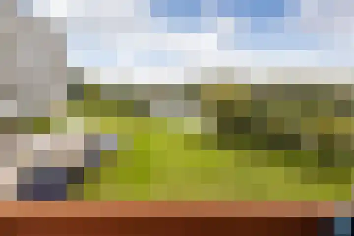 Aalscholversingel 244 Velp thumbnail 7