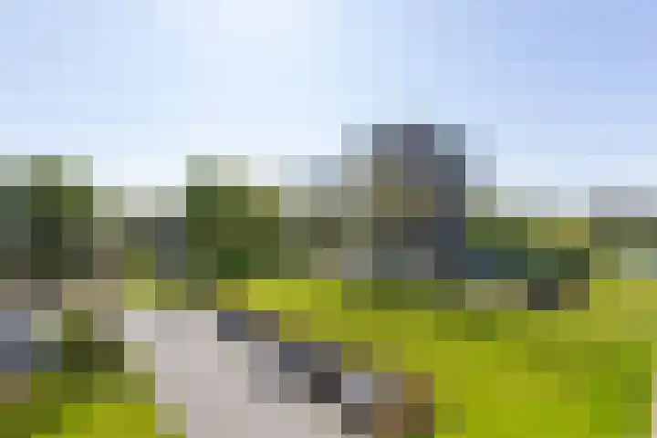 Aalscholversingel 256 Velp thumbnail 10