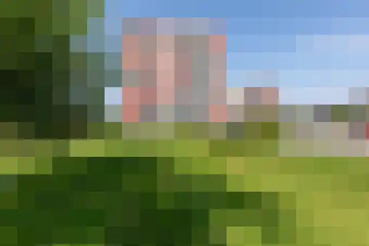 Aalscholversingel 256 Velp thumbnail 18
