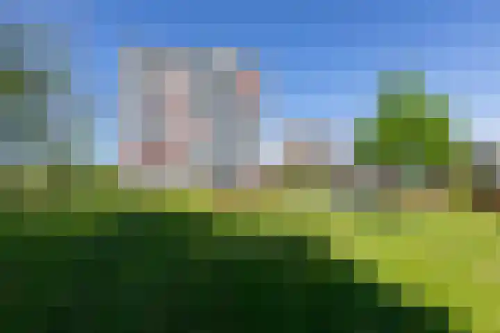 Aalscholversingel 256 Velp thumbnail 20