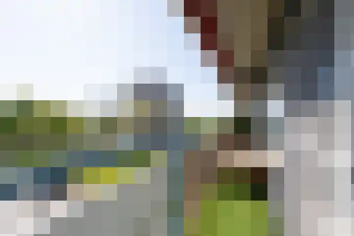 Aalscholversingel 256 Velp thumbnail 9