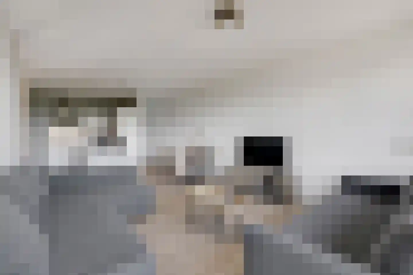 Aalscholversingel 258 Velp thumbnail 10