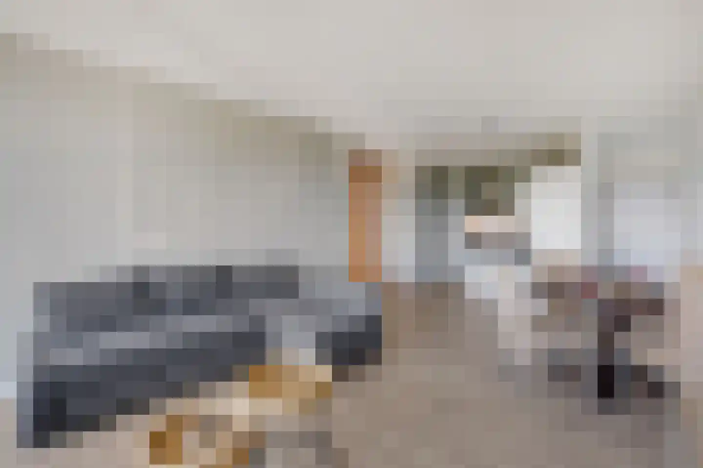 Aalscholversingel 258 Velp thumbnail 11