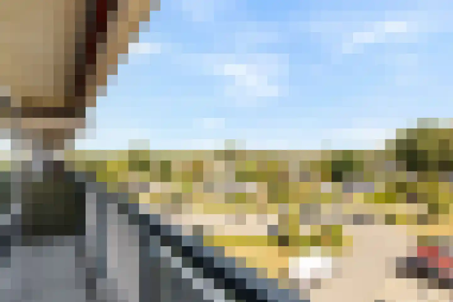Aalscholversingel 258 Velp thumbnail 4