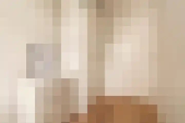 Aalscholversingel 26 Velp thumbnail 13