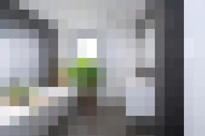 Aalscholversingel 26 Velp thumbnail 15