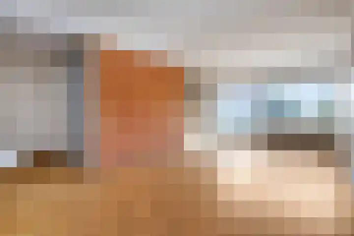 Aalscholversingel 260 Velp thumbnail 11