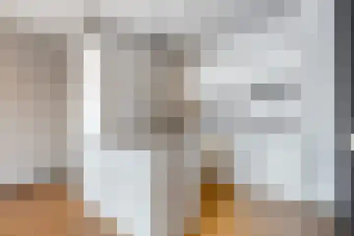 Aalscholversingel 260 Velp thumbnail 13