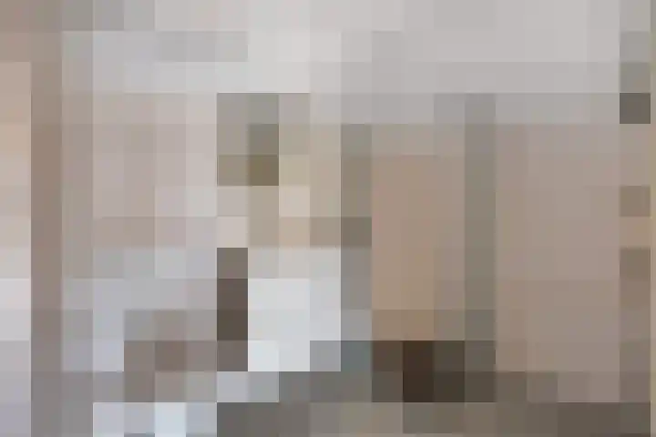 Aalscholversingel 260 Velp thumbnail 17