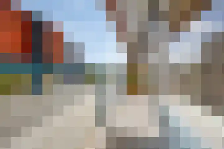 Aalscholversingel 260 Velp thumbnail 18