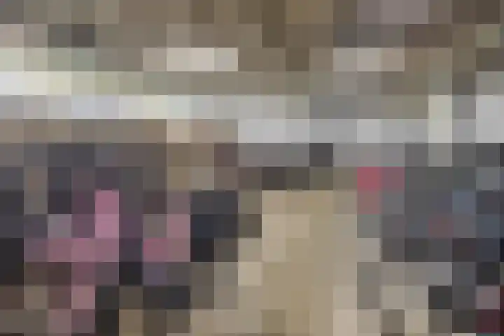 Aalscholversingel 260 Velp thumbnail 20