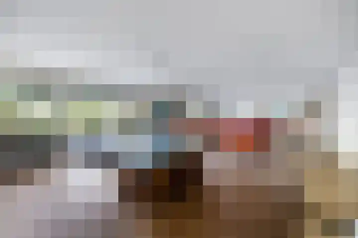 Aalscholversingel 260 Velp thumbnail 21