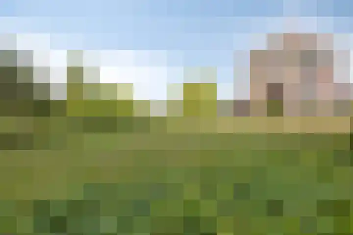 Aalscholversingel 260 Velp thumbnail 22