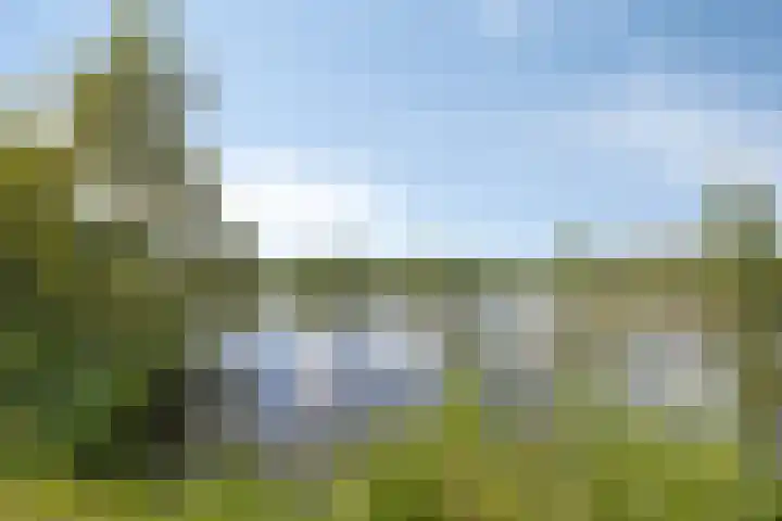 Aalscholversingel 260 Velp thumbnail 23