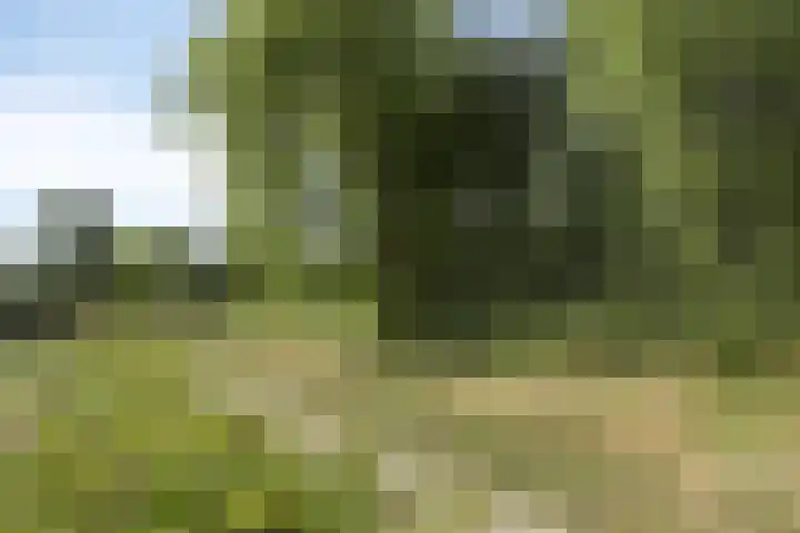 Aalscholversingel 260 Velp thumbnail 24