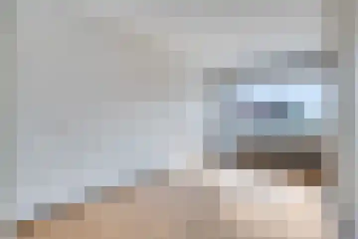 Aalscholversingel 260 Velp thumbnail 4