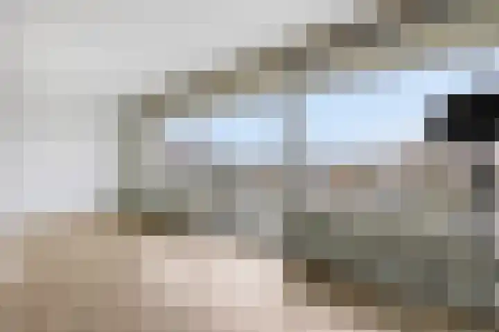 Aalscholversingel 274 Velp thumbnail 13