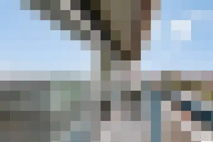 Aalscholversingel 274 Velp thumbnail 14