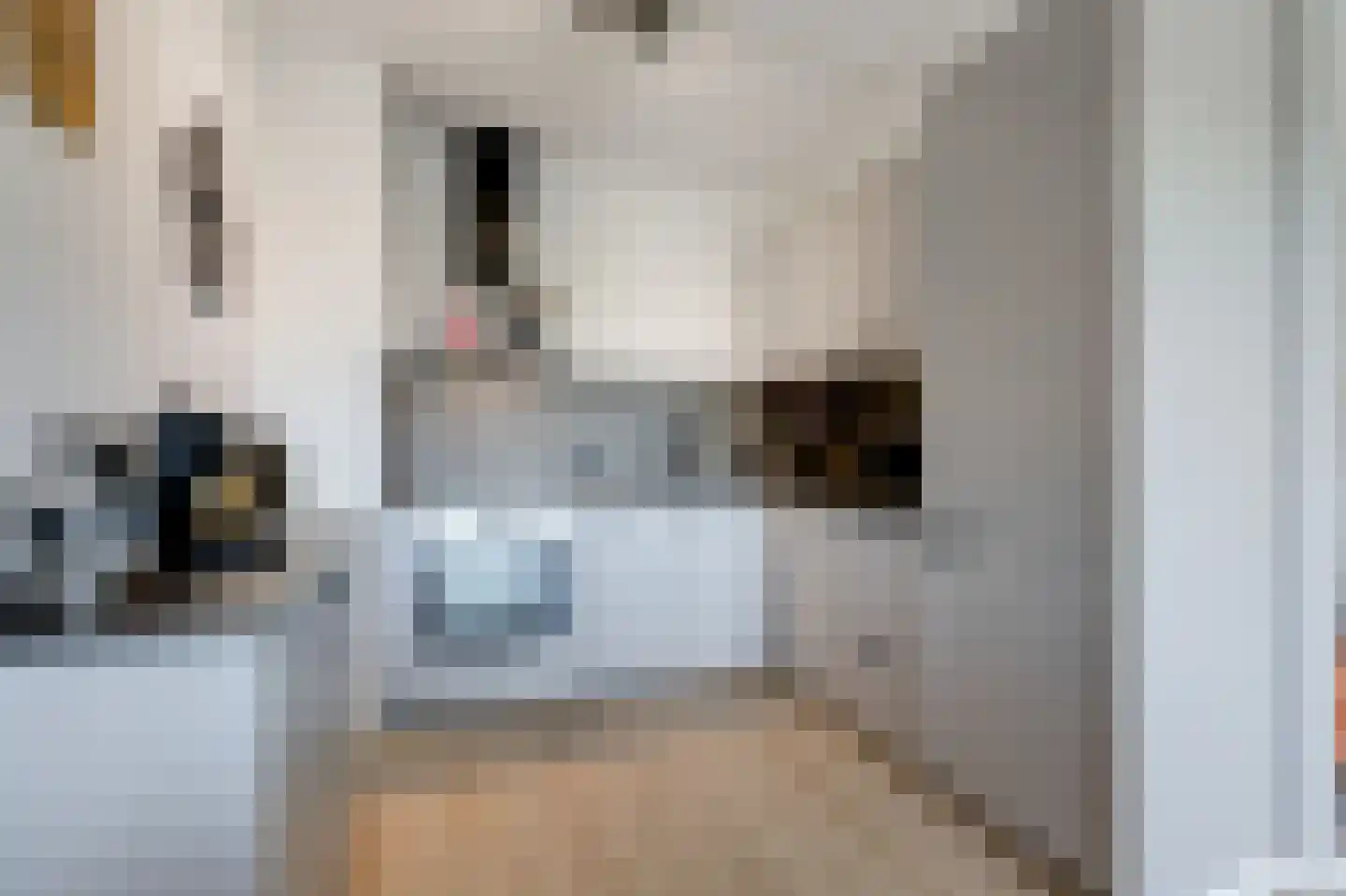 Aalscholversingel 312 Velp thumbnail 13