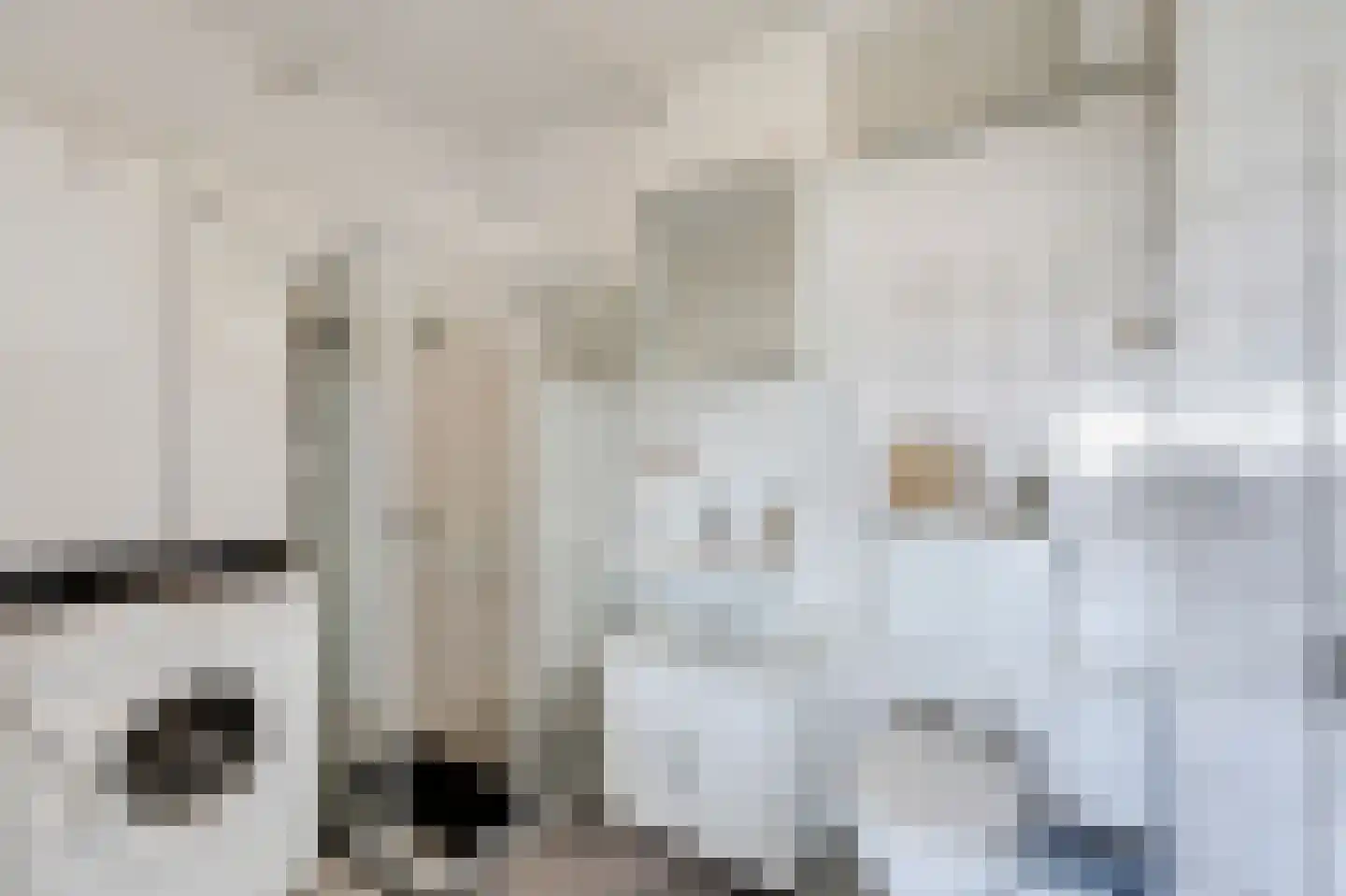 Aalscholversingel 312 Velp thumbnail 15