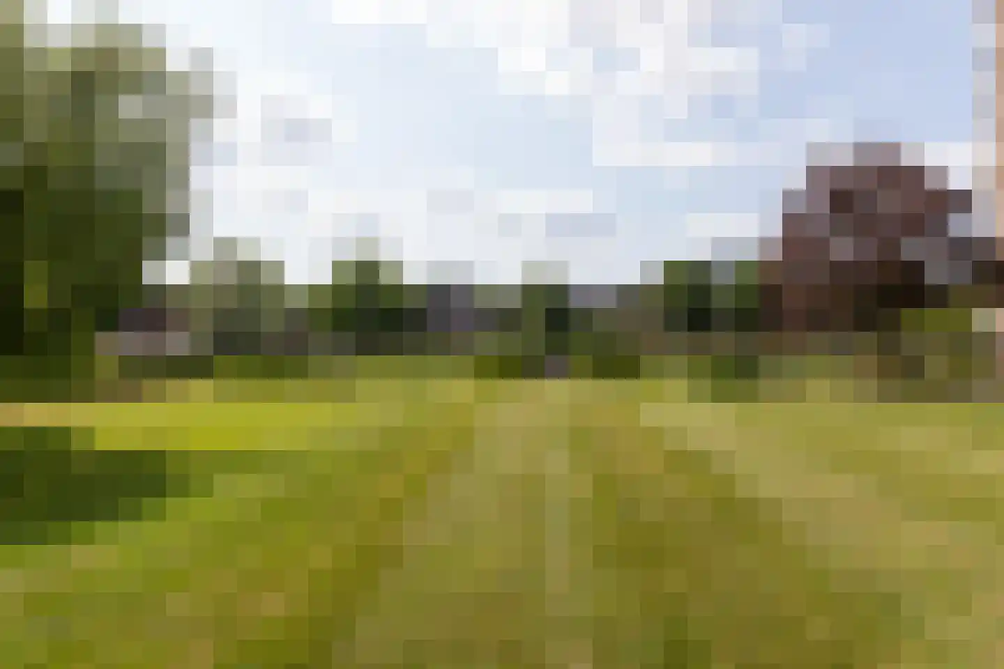 Aalscholversingel 312 Velp thumbnail 18