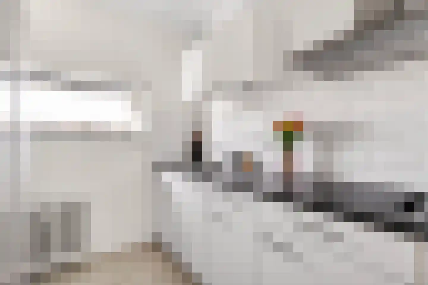 Aalscholversingel 316 Velp thumbnail 10