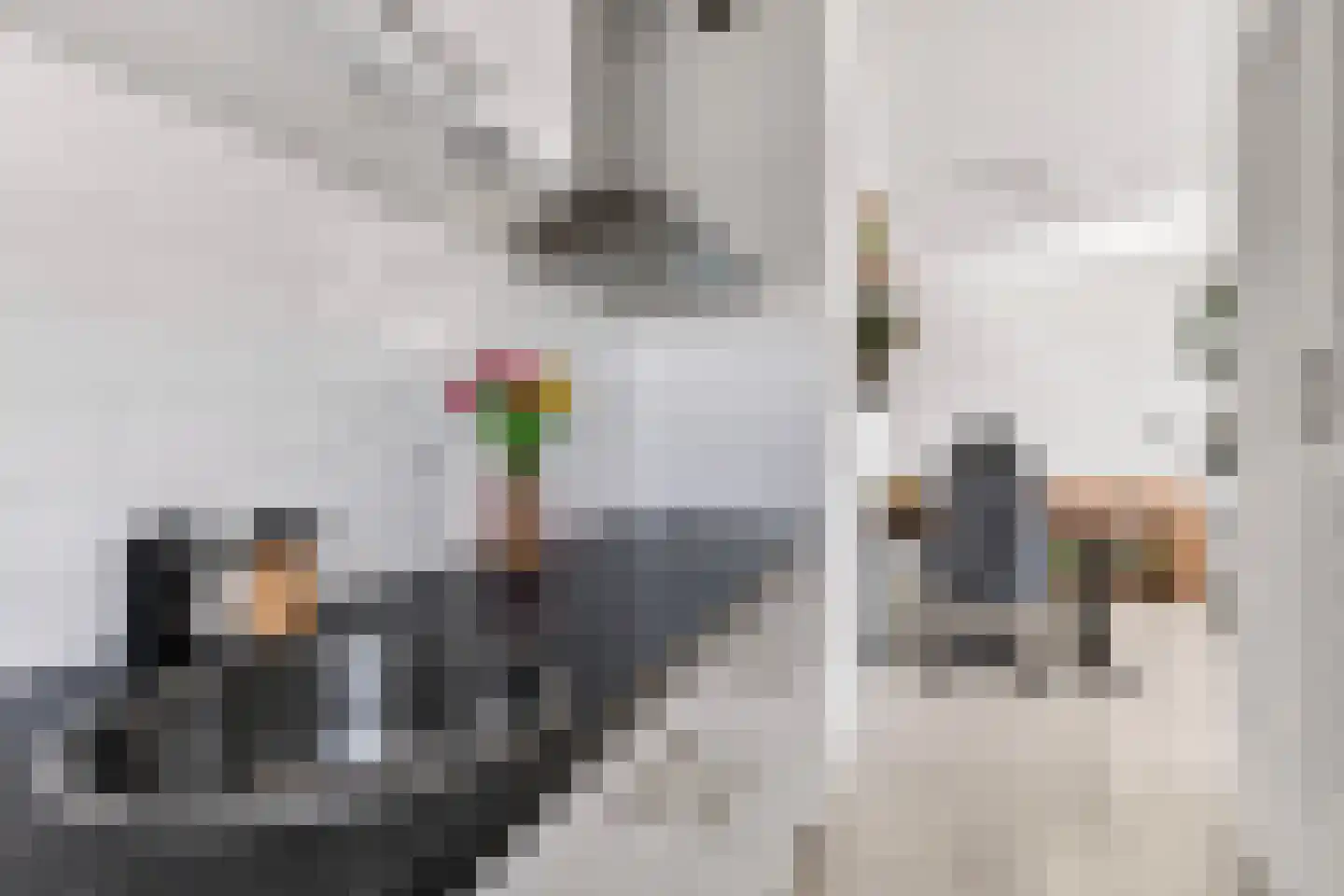 Aalscholversingel 316 Velp thumbnail 11