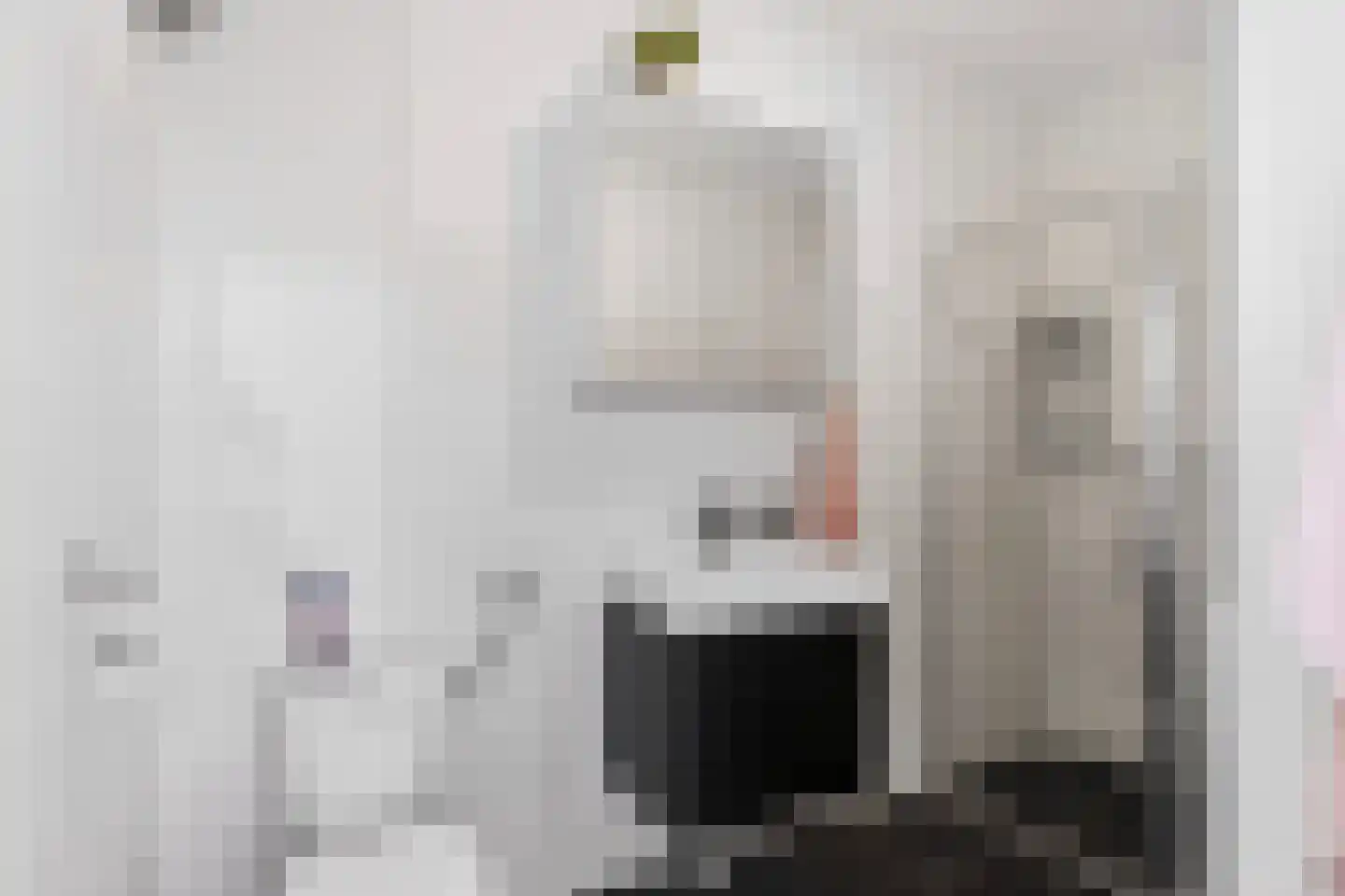 Aalscholversingel 316 Velp thumbnail 16