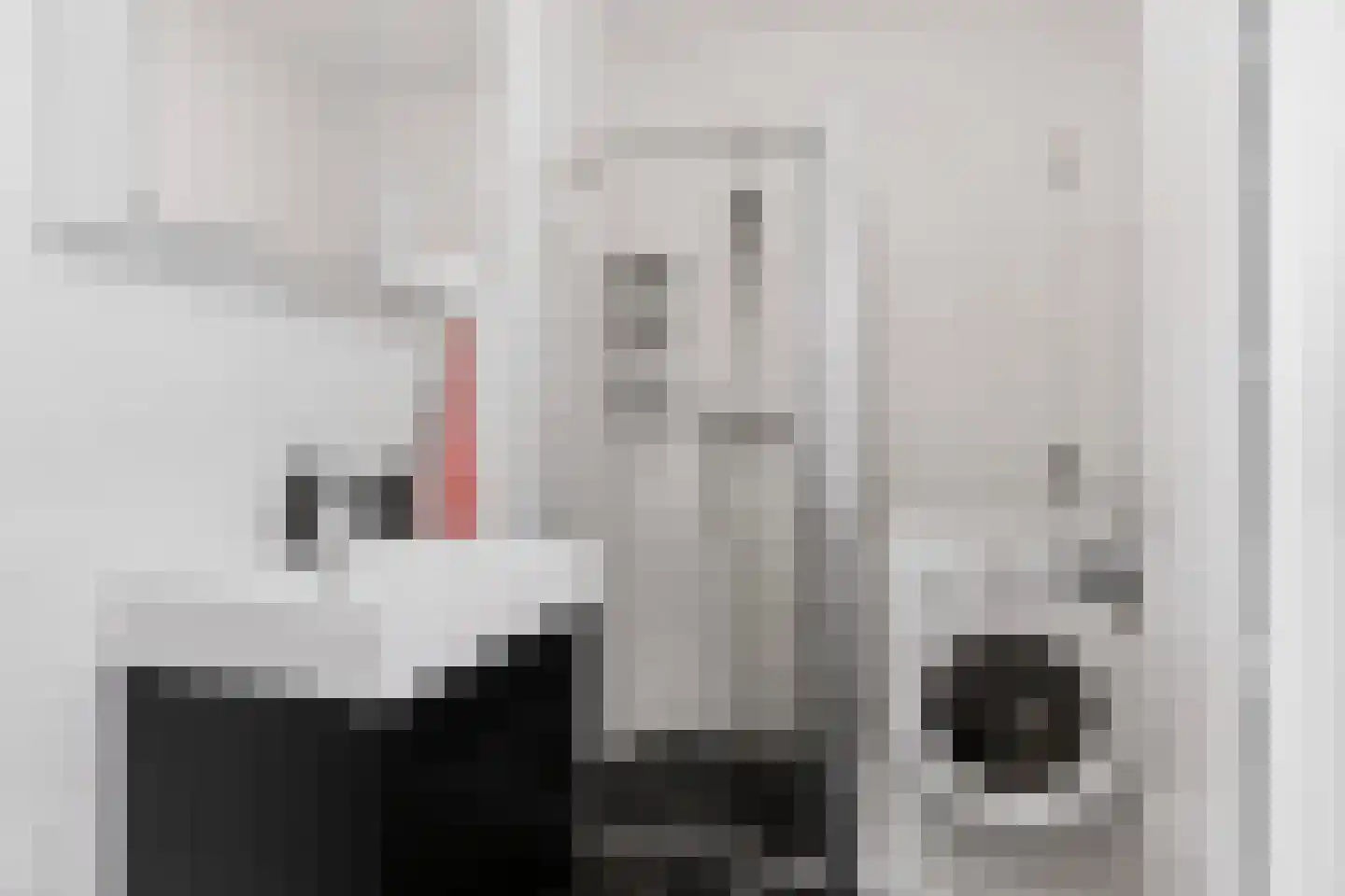 Aalscholversingel 316 Velp thumbnail 17