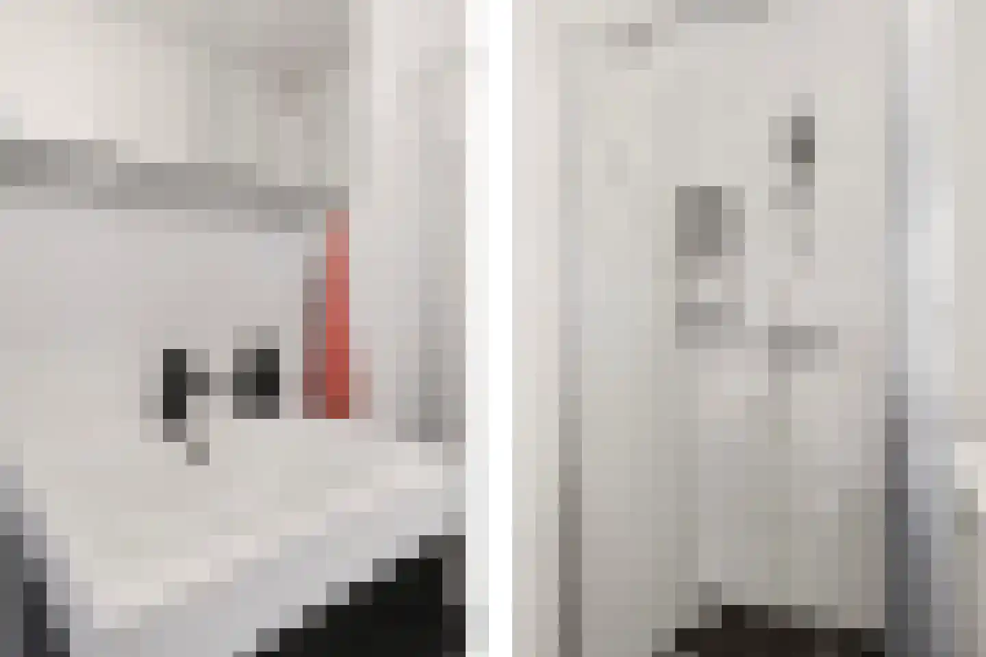 Aalscholversingel 316 Velp thumbnail 18