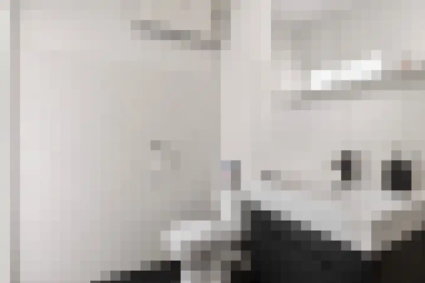 Aalscholversingel 316 Velp thumbnail 19