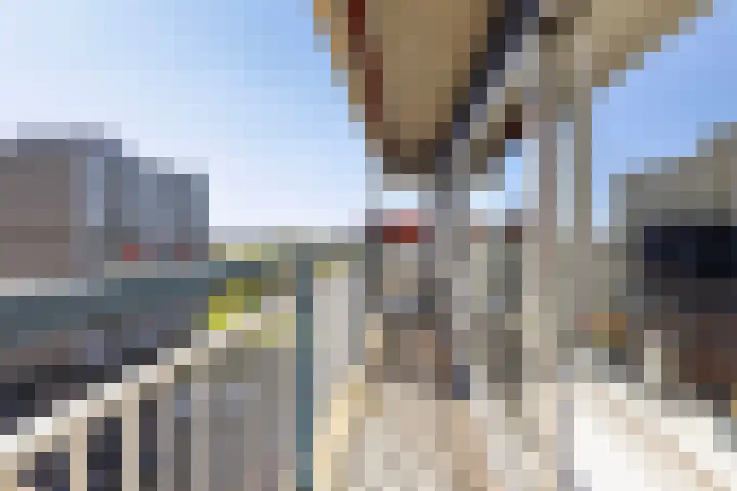 Aalscholversingel 316 Velp thumbnail 20