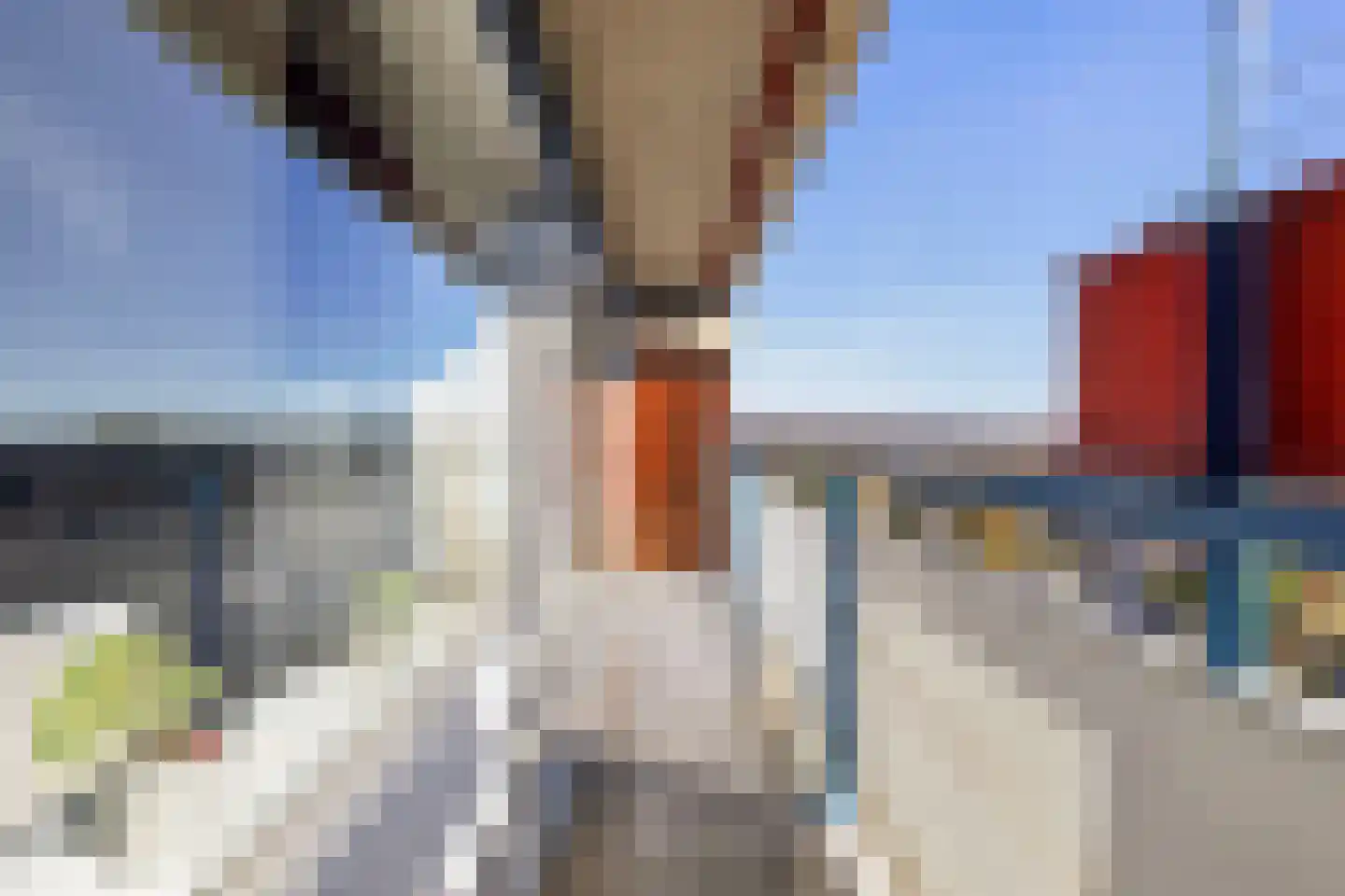 Aalscholversingel 316 Velp thumbnail 21