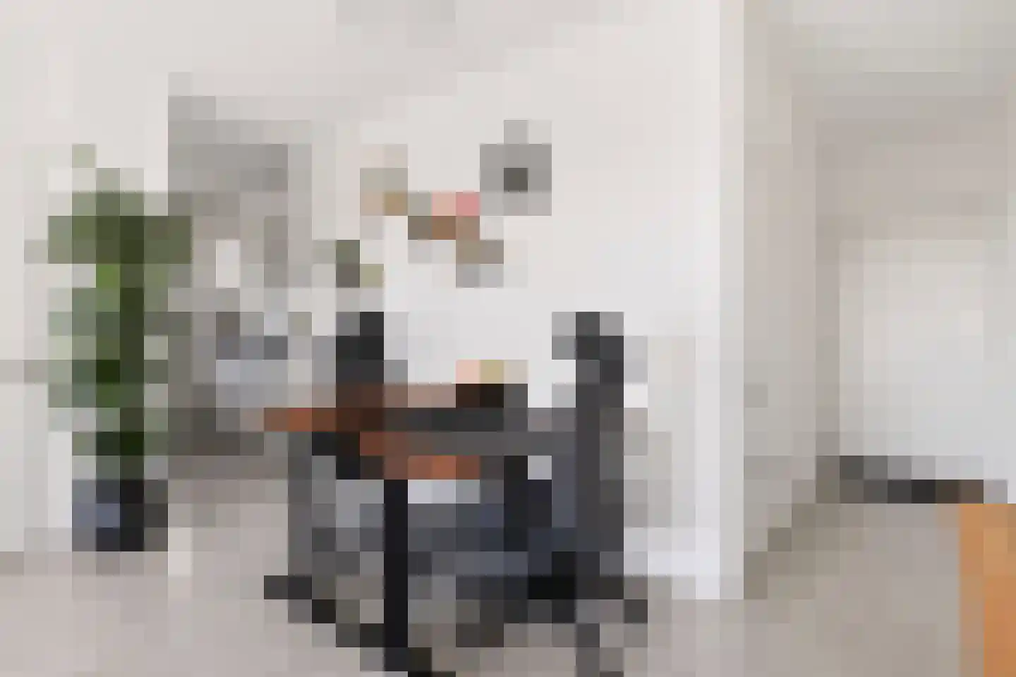Aalscholversingel 316 Velp thumbnail 8