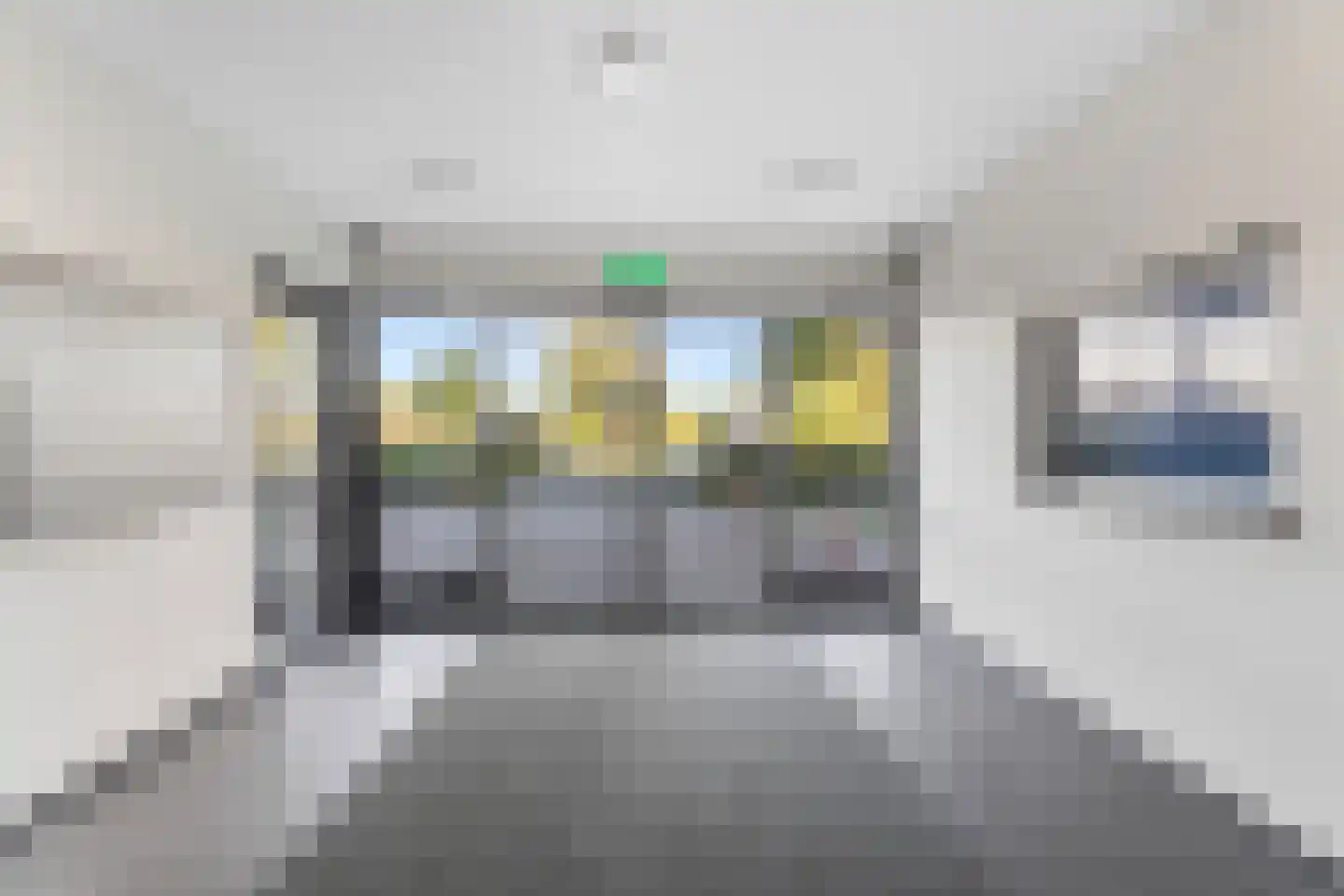 Aalscholversingel 318 Velp thumbnail 11