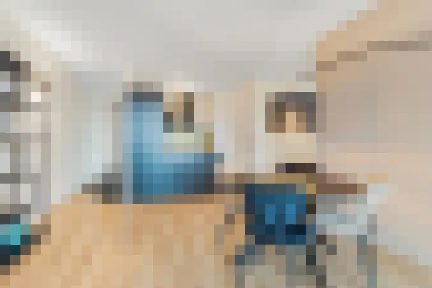 Aalscholversingel 318 Velp thumbnail 13