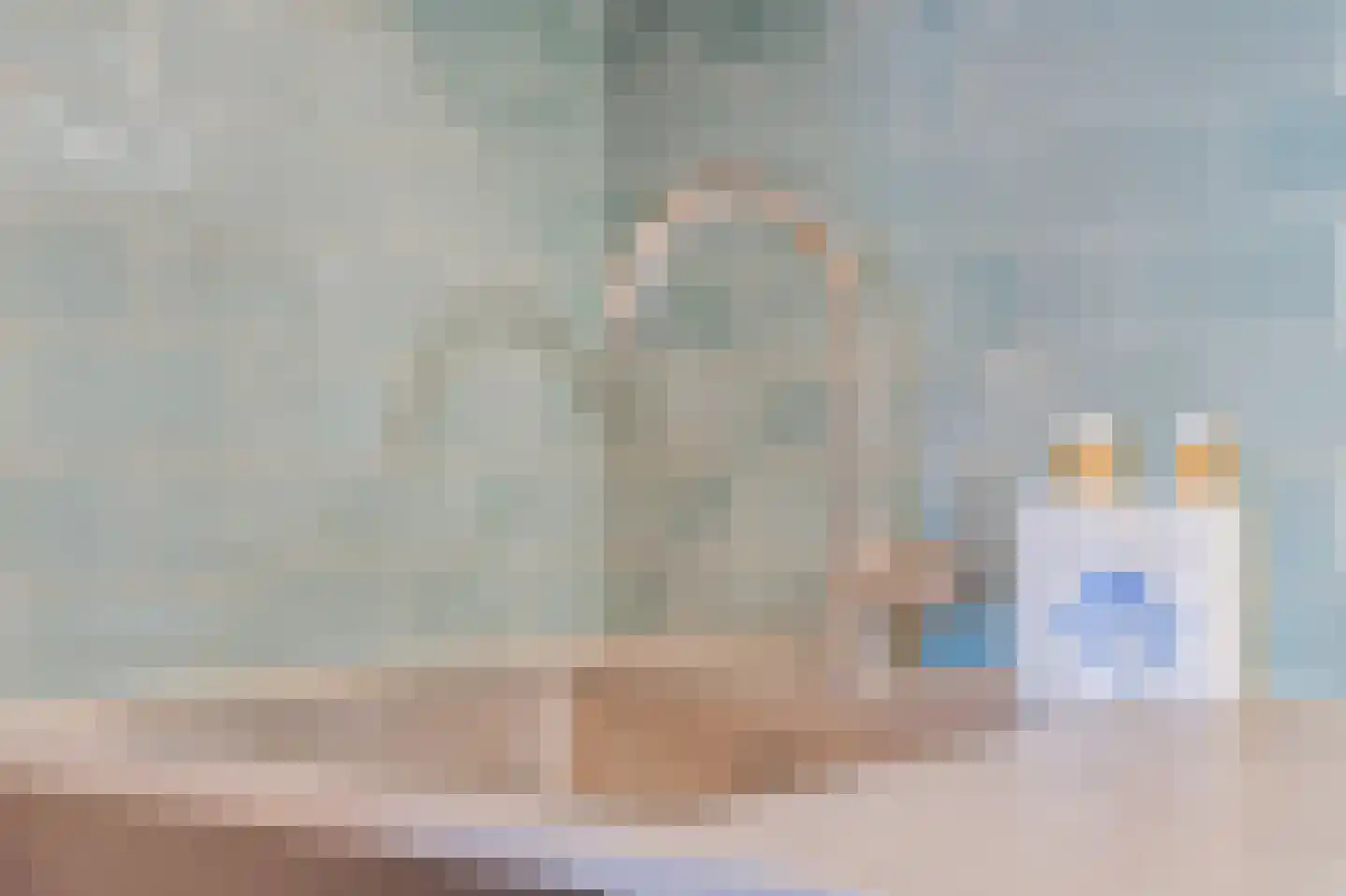 Aalscholversingel 318 Velp thumbnail 24