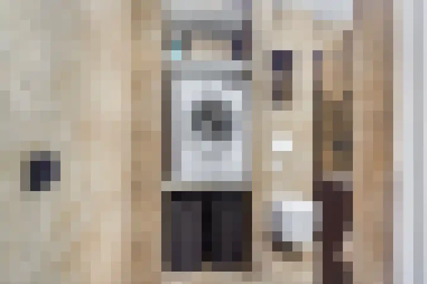 Aalscholversingel 318 Velp thumbnail 26
