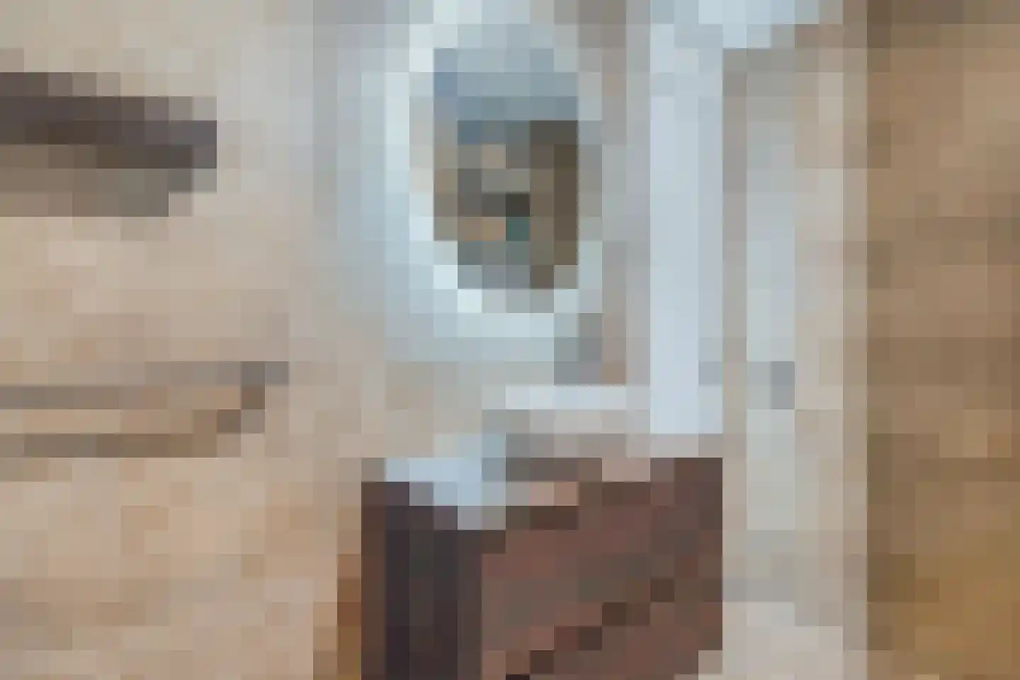 Aalscholversingel 318 Velp thumbnail 28
