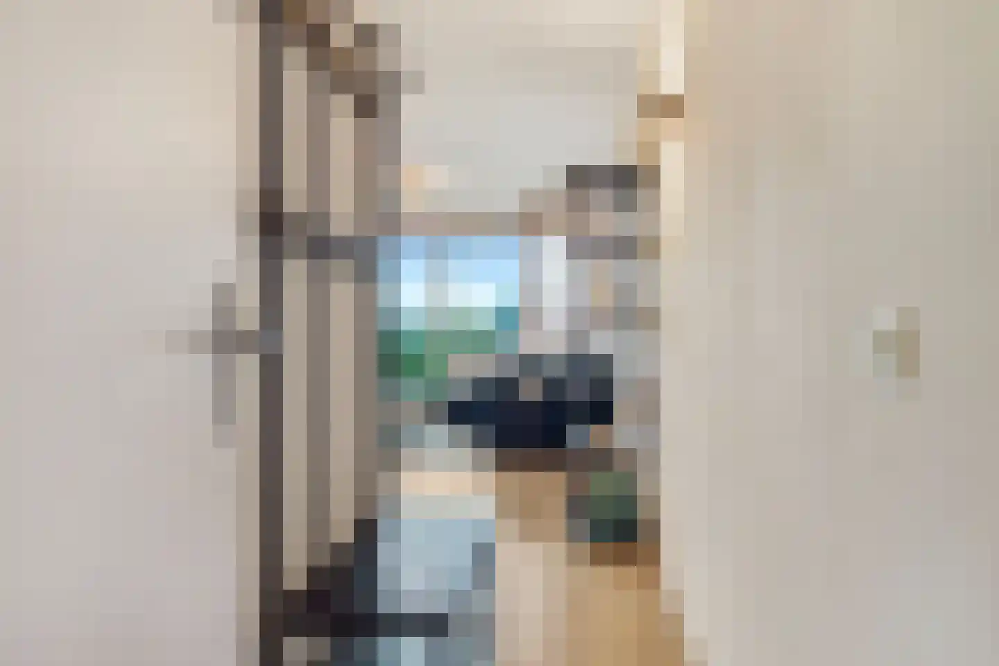 Aalscholversingel 318 Velp thumbnail 29