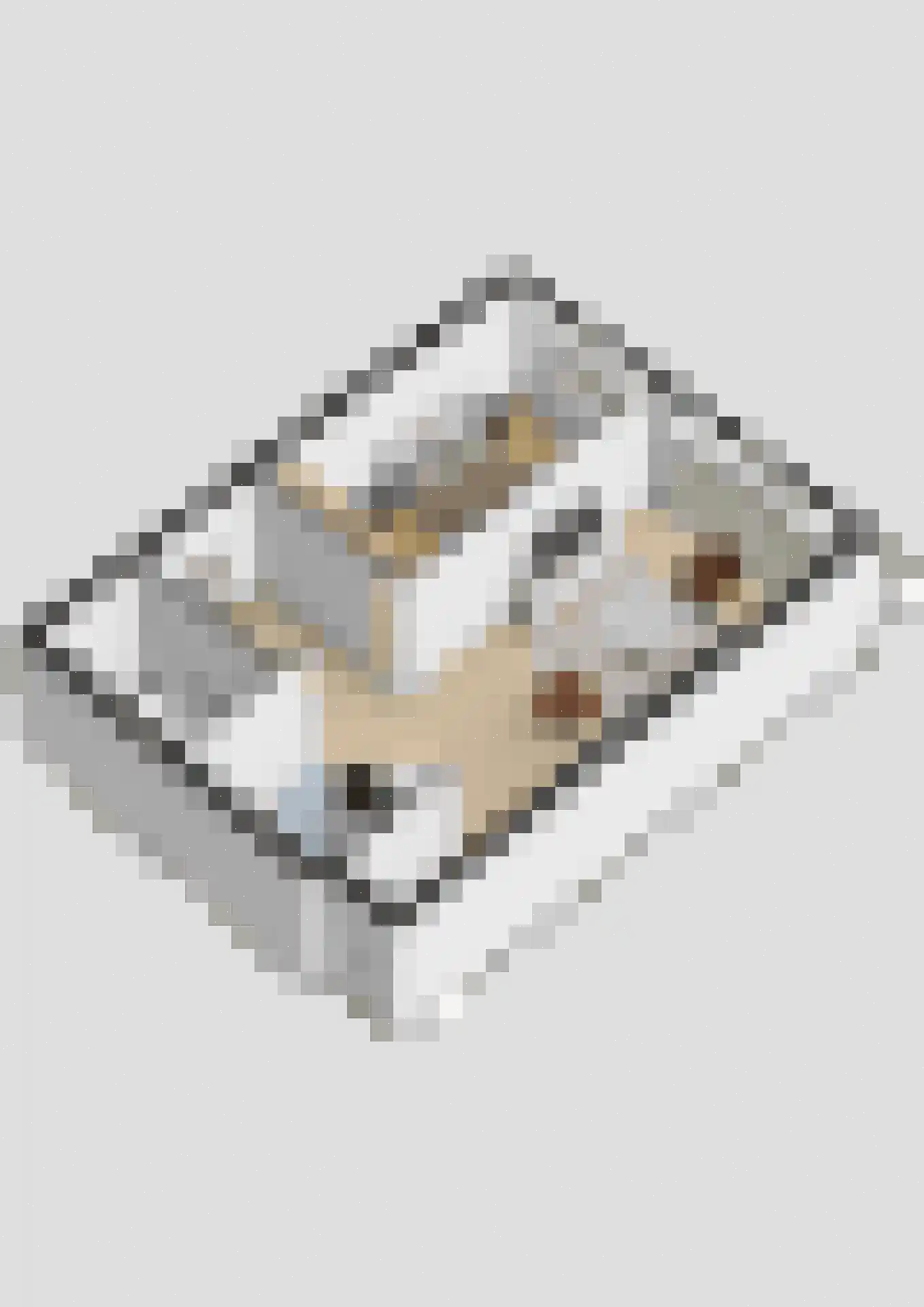 Aalscholversingel 318 Velp thumbnail 40
