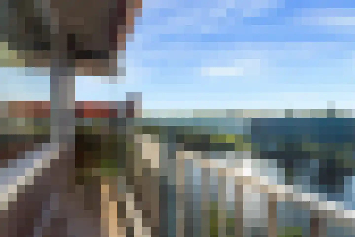 Aalscholversingel 318 Velp thumbnail 6