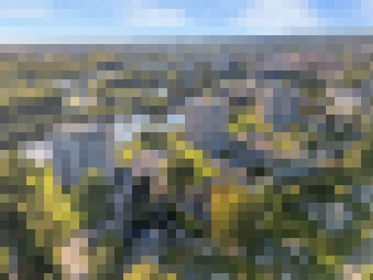 Aalscholversingel 318 Velp thumbnail 9