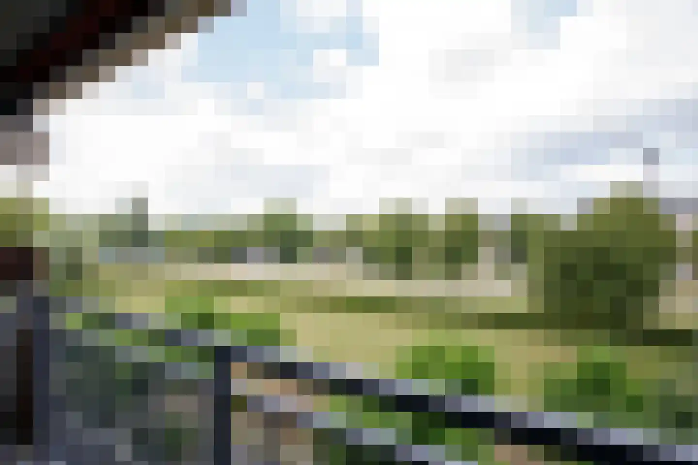 Aalscholversingel 32 Velp thumbnail 11